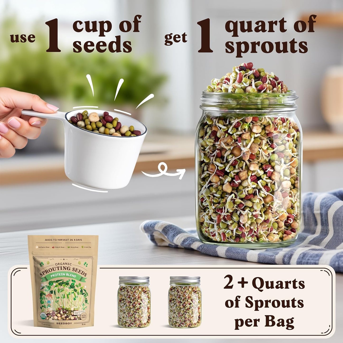 Seedboy Organic Non-GMO Sprouting Seeds, Superfood & Protein Blend – 2 Pack Bundle – USA Grown Sprouting & Microgreens Seeds – Two 8 oz Bags Makes 12 Quarts / 36 Servings (Superfood/Protein)