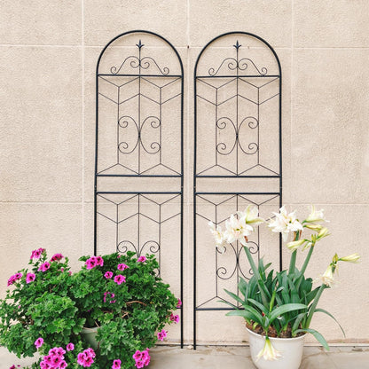 2 Pack 71x20in Garden Trellises with Black Metal Coating, Trellis for Climbing Plants Outdoor, Roses, Vines, Flowers, and Vegetables.