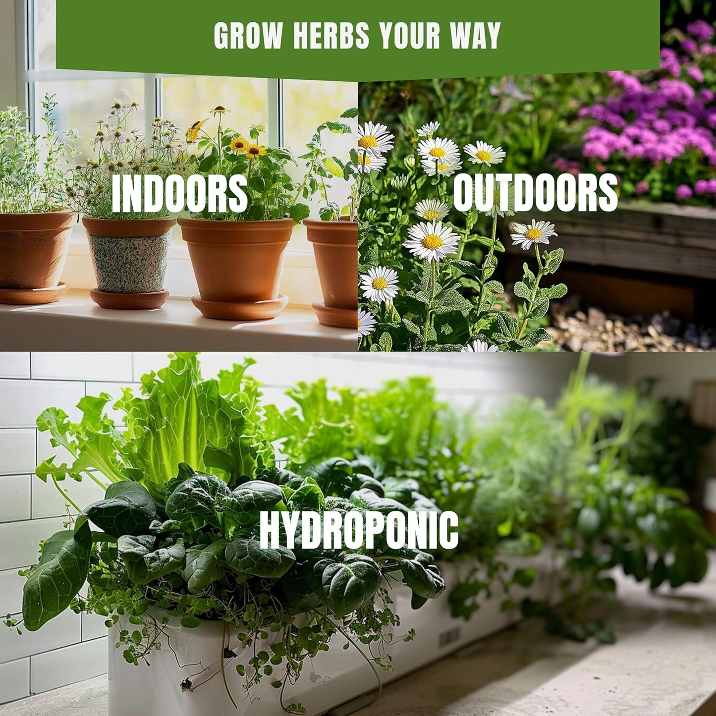 15 Medicinal & Herbal Tea Seeds Variety Pack Home Garden Kit Plant Markers 2950+ Non-GMO Heirloom Indoor Hydroponic Outdoors Planting Herb Anise Basil Calendula Fennel Mint Rosemary Lavender Chamomile