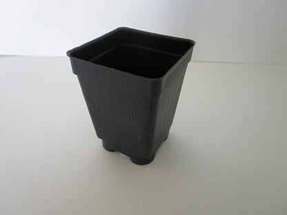 2.5" Square Extra Deep Landmark Nursery Pots - Press Fit (800)