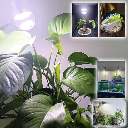 ALIDE E17 Intermediate Base Plant Grow Light Bulbs for Indoor Plants, E17 Full Spectrum Sun Grow LED Lamp 10W with Balanced Spectrum 5000K Red Blue Yellow for Seeds Greens Laboratory,Greenhouse,3Pack