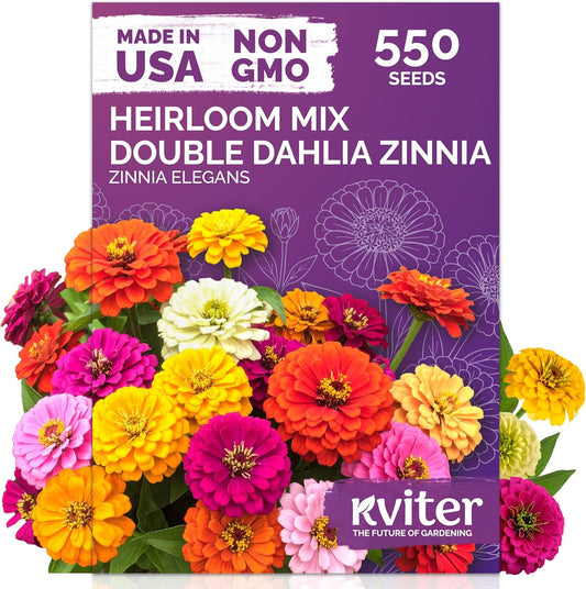 KVITER 550 Dahlia Zinnia Seeds for 2025 Mix (Zinnia Elegans) – Double Blooms, Heirloom & Organic