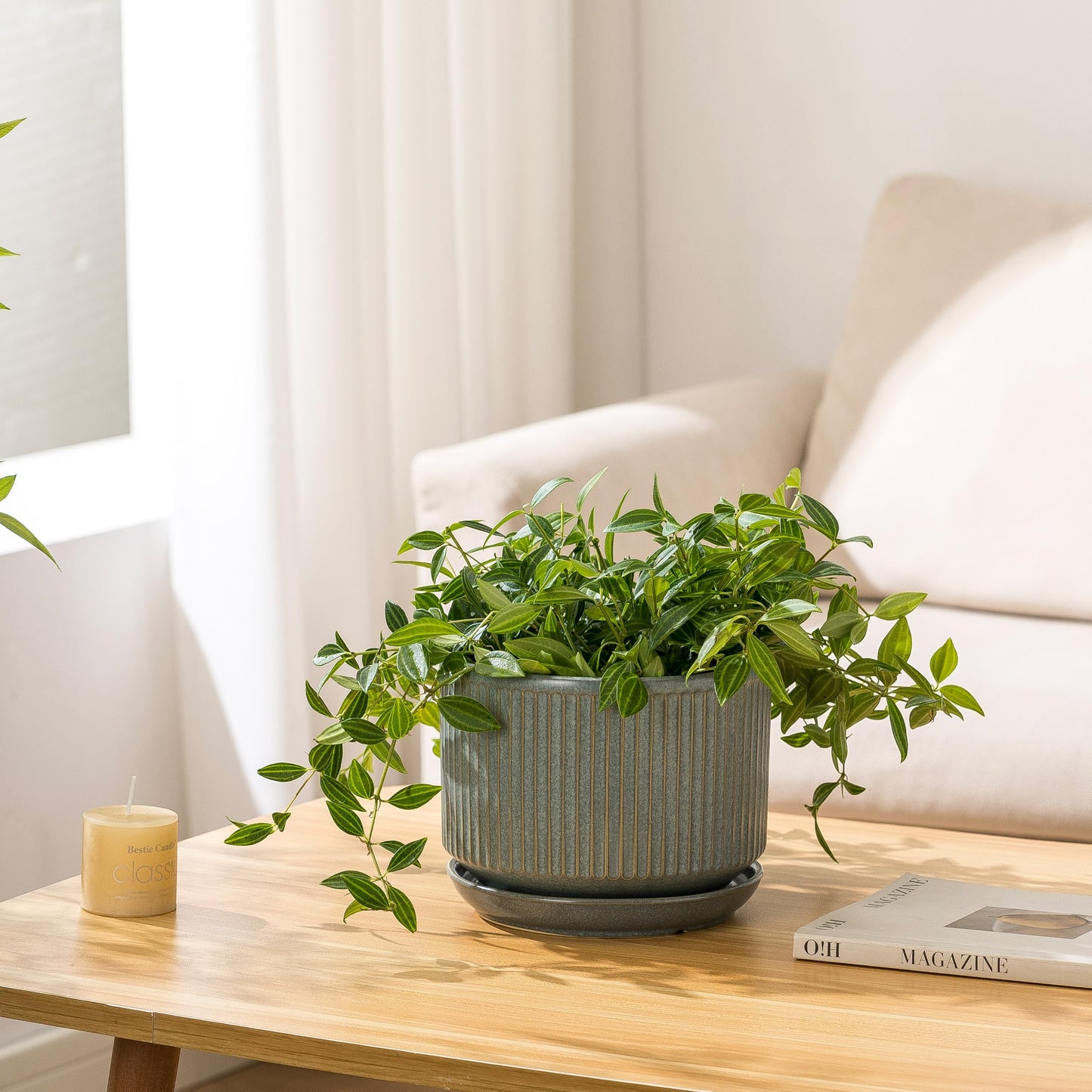 SURE YUESI Ceramic Plant Pots Set of 3, Indoor Outdoor Planters with Drainage Hole and Saucer