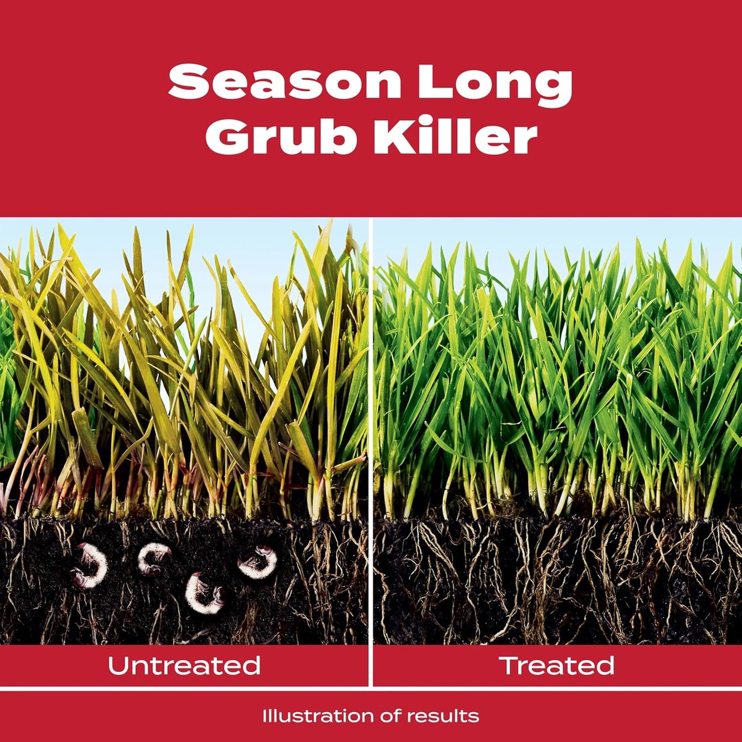 Scotts GrubEx1 Season Long Grub Killer, Protects Lawns Up to 4 Months, 10,000 sq. ft., 28.7 lbs.