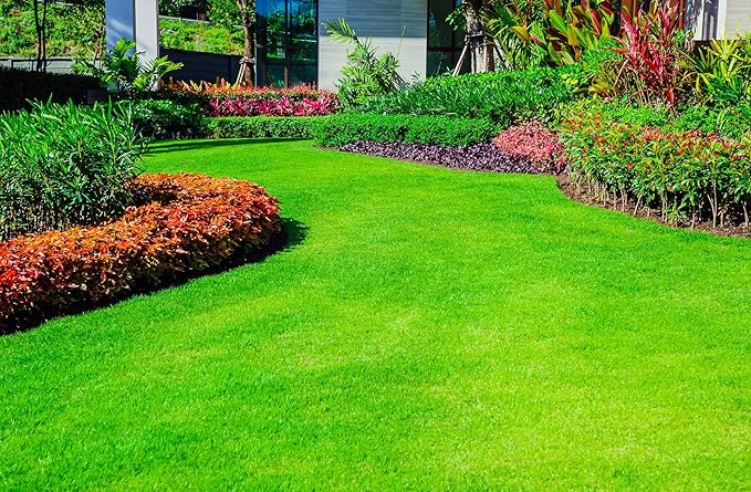 Super Absorbent Polymer Helps Plant Growth and Plant Establishment (5 Pounds)