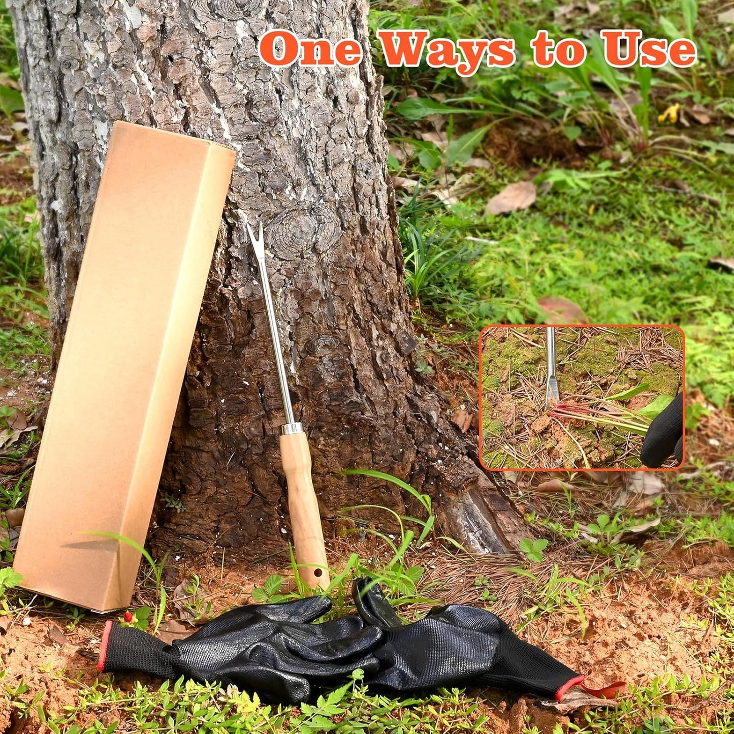 Wooden Handle Dandelion Weeder Tool - Polished Stainless Steel Dual - Forked Head Dandelion Weeder Puller Tool for Planting, Weeding, Flower & Vegetable Care with Nylon Nitrile Coated Gloves