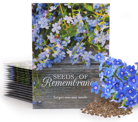 Bentley Seed Co. | Seeds of Remembrance | Pre Filled Non-GMO, Non-Coated Forget Me Not Seeds