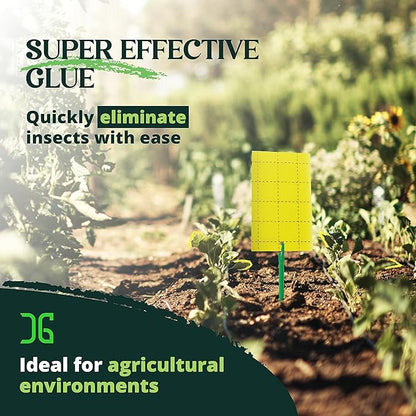 Catchmaster GRO Yellow Regular Double Sided Sticky Traps 72PK, Adhesive Bug & Fruit Fly Trap, Pest Control for Home, Farm, Garden, Hydroponics & Greenhouse, Protect Live Plants Indoor & Outdoor