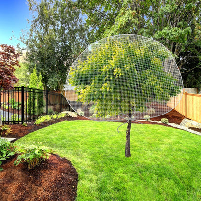 8.2 x 6.5 Feet Large Fruit Tree Netting, Insect Bird Barrier Tree Net with Drawstring, Garden Bird Netting Plant Cover for Protect Plant Fruit Flower from Insect Bird