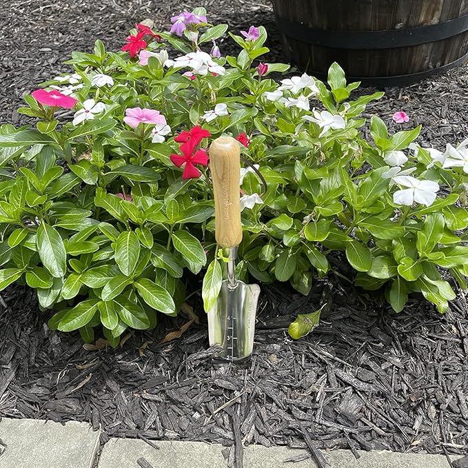 Garden Guru Eco Transplanter Trowel Shovel - 100% Recycled Stainless Steel - Rust Resistant - FSC Certified Ergonomic Wood Handle - Perfect Tool for Gardening Weeding Transplanting & Digging (2 Pack)