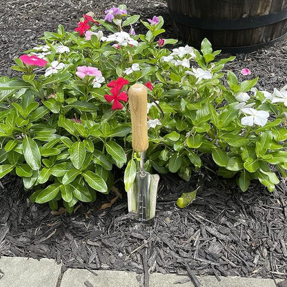 Garden Guru Eco Transplanter Trowel Shovel- 100% Recycled Stainless Steel - Rust Resistant - FSC Certified Wood Ergonomic Handle - Perfect Tool for Gardening Transplanting & Digging - 1 Case (40 Pcs)
