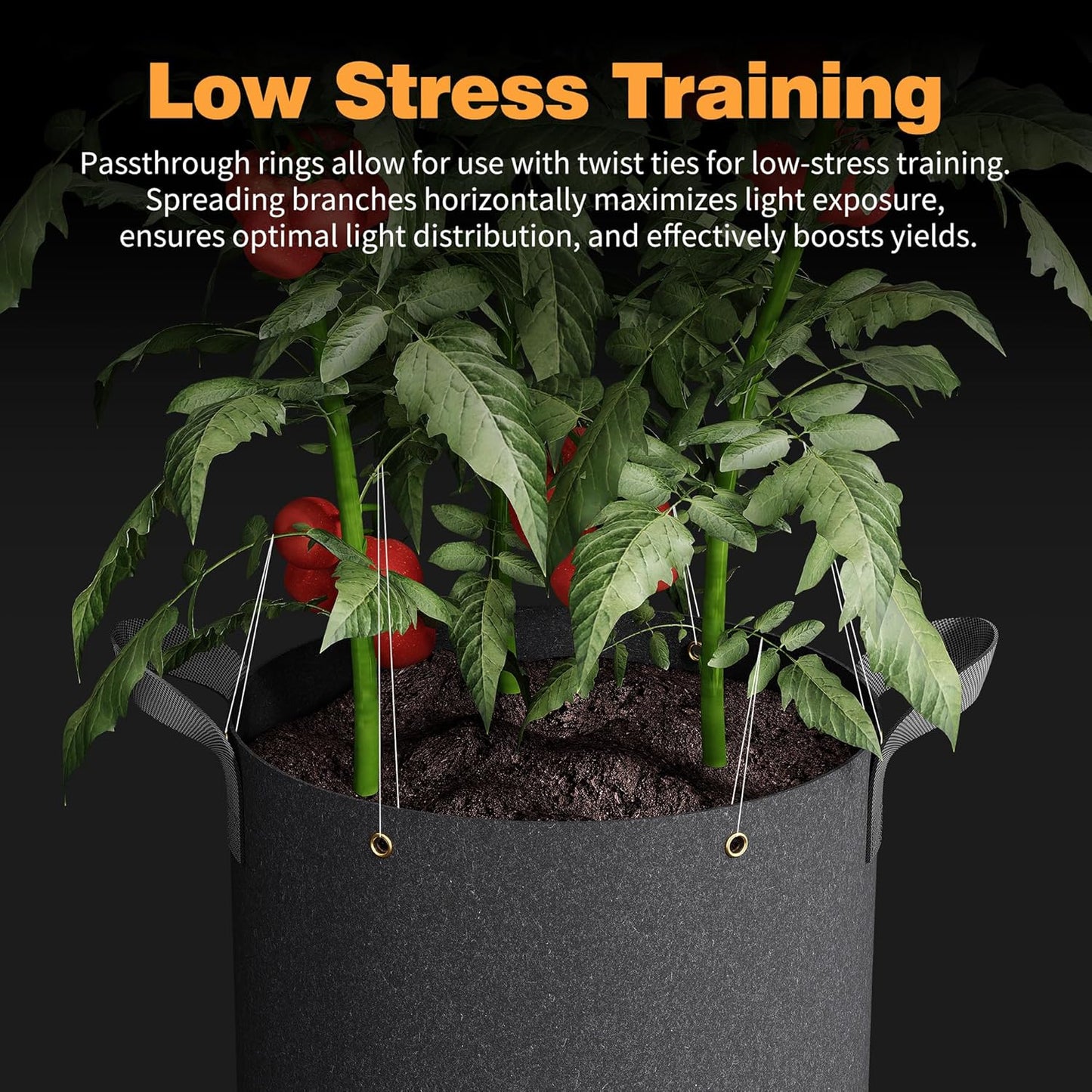 Self-Watering Grow Bags, 5-Pack 7 Gallon 420G Thick Nonwoven Fabric Pots with Reinforced Handles and Multi-Purpose Rings, for Low Stress Plant Training Fruits, Vegetables,and Flowers