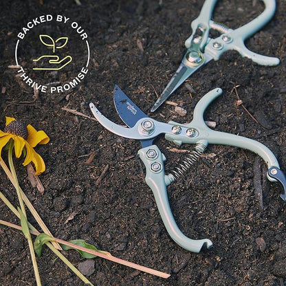 Modern Sprout Hand Pruners & Shears Set - Lightweight Gardening Tools W/Easy Lock - Sharp Carbon Steel Blades -Rust Resistant Scissors for Herbs, Flowers - Reusable Holster - Ocean