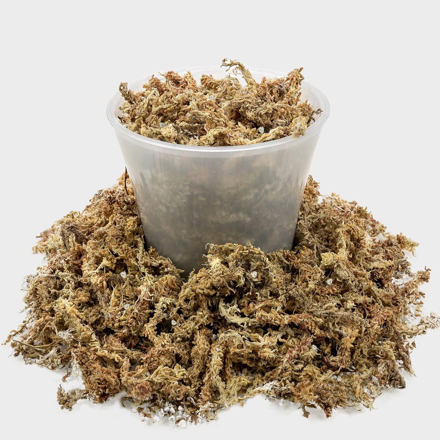 Gardenera Sphagnum Moss Potting Mix for Carnivorous Plants, Moss and Perlite Blend for Potting Venus Fly Traps, Sarracenia, Pitcher Plants - Sphagnum Moss & Perlite - Made in USA - 10 Quart