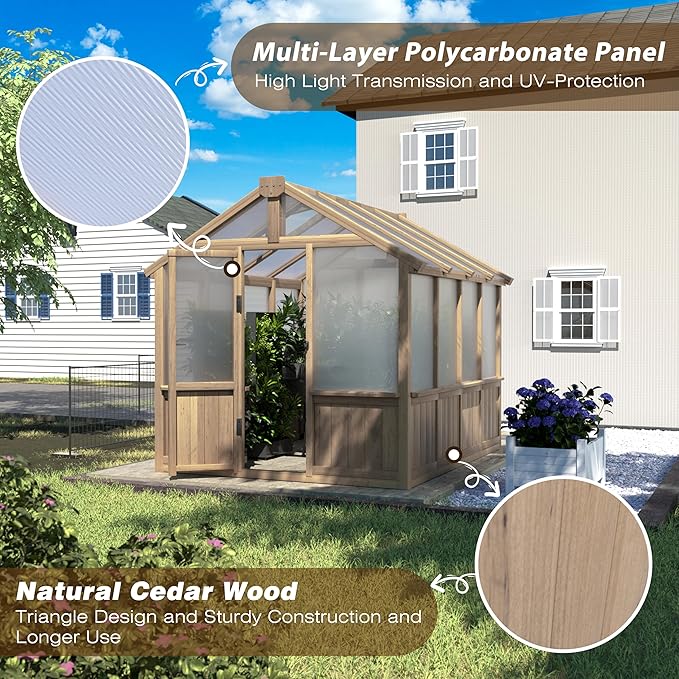 BlueWish 6x8FT Greenhouse, 6mm Polycarbonate Greenhouses with Cedar Frame, Wood Greenhouse with Adjustable Vent, Green House for Outside, Garden, Backyard