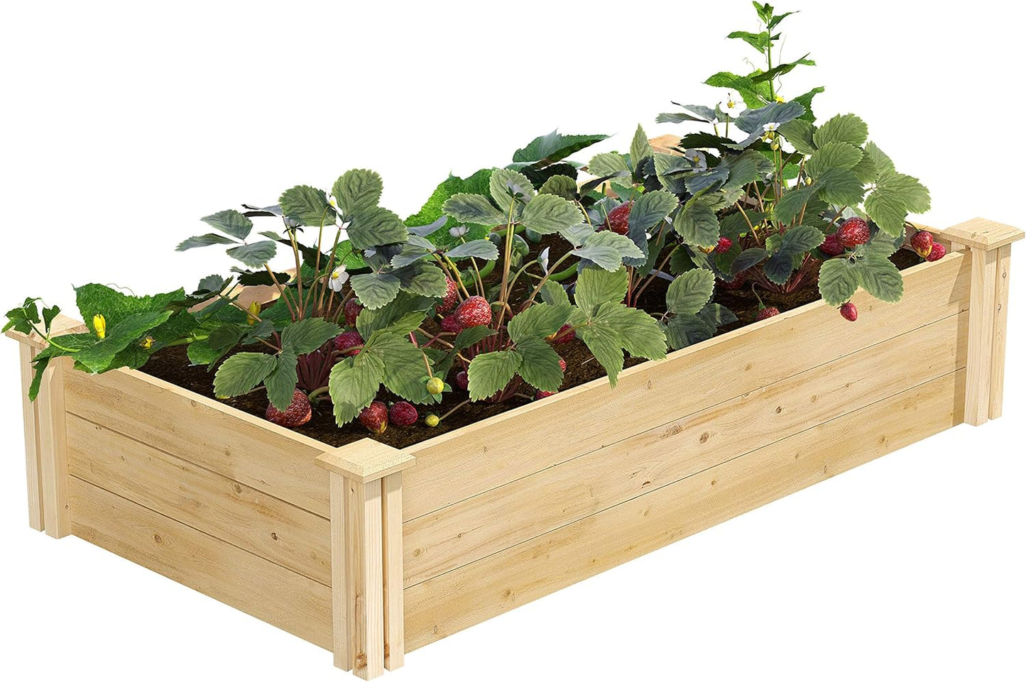 Greenes Fence Original Cedar Raised Garden Bed, 2' x 4' x 10.5" (2-Pack) - Made in USA with North American Cedar
