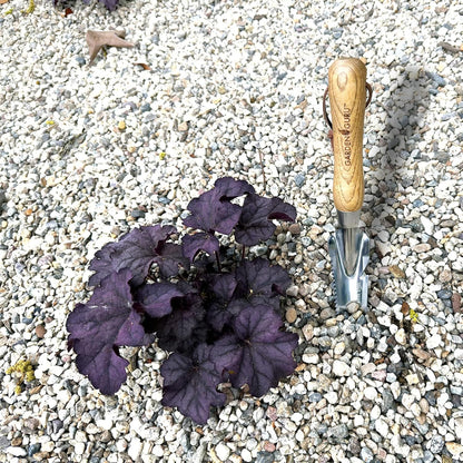 Garden Guru Hand Weeder Trowel with Ergonomic Handle – Stainless Steel Weeding & Digging Knife – Rust Resistant - Perfect for Weeding, Transplanting, Digging, Pruning, Cutting (4Pack)