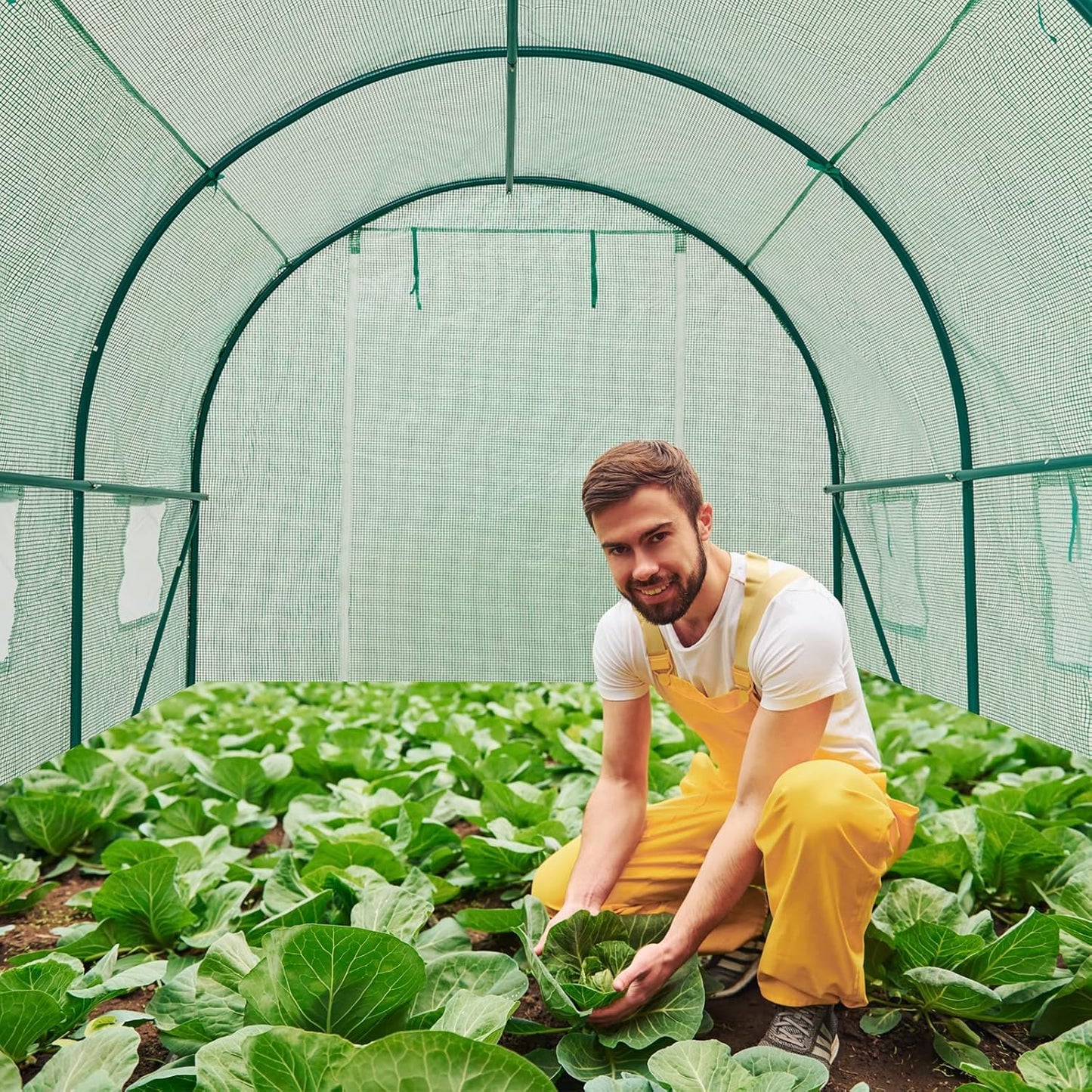 12×7×7 FT Greenhouses for Outdoors Heavy Duty, Large Walk in Green Houses for Outside with 6 Ventilated Mesh Windows & Roll-up Door & Reinforced Frame