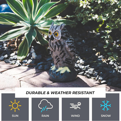 Galashield Owl Decoy to Scare Birds Away | Plastic Owls to Scare Birds Away | Owl Statue for Garden & Outdoors