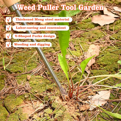 Wooden Handle Dandelion Weeder Tool - Polished Stainless Steel Dual - Forked Head Dandelion Weeder Puller Tool for Planting, Weeding, Flower & Vegetable Care with Nylon Nitrile Coated Gloves