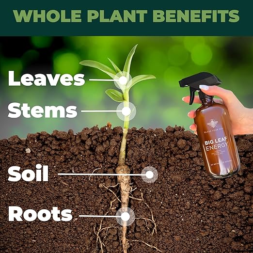 Big Leaf Energy : RTU Wellness Spray for Indoor Plants : Organic Neem Oil + Essential Oils (16OZ, Glass Bottle)