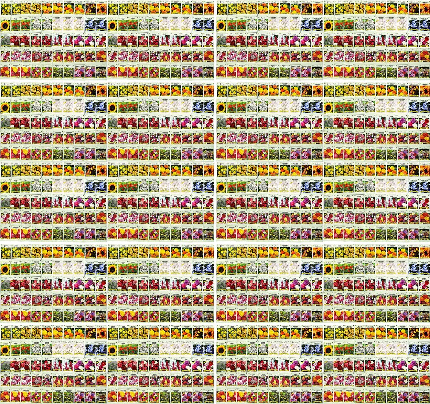 Set of 1000 Flower Seed Packets - Flower Seeds in Bulk - 15 or More Varieties Available - Great for Creating Colorful Gardens (1000)