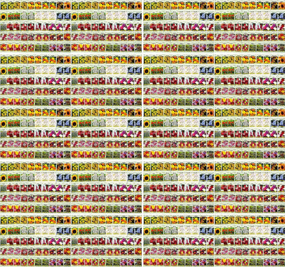 Set of 1000 Flower Seed Packets - Flower Seeds in Bulk - 15 or More Varieties Available - Great for Creating Colorful Gardens (1000)