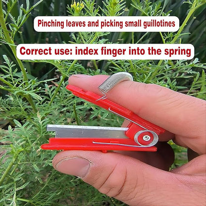 Gardener's Thumb Knife & Pruning Shears - Multi-Use Stainless Steel Tool for Leaf Trimming, Fruit Picking, Plant Trimming | Lightweight Garden Snips, Indoor/Outdoor Flowers Fruits Vegetables