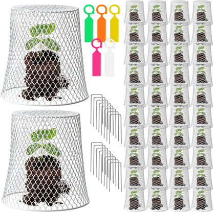 40 Pcs 8 inch Chicken Wire Plant Covers,Wire Garden Cloches Chicken Wire Cloche Plant Protector Metal Heavy Duty Garden Plant Cloche for Keeping Bunnies Chicken Squirrels Birds Other Out