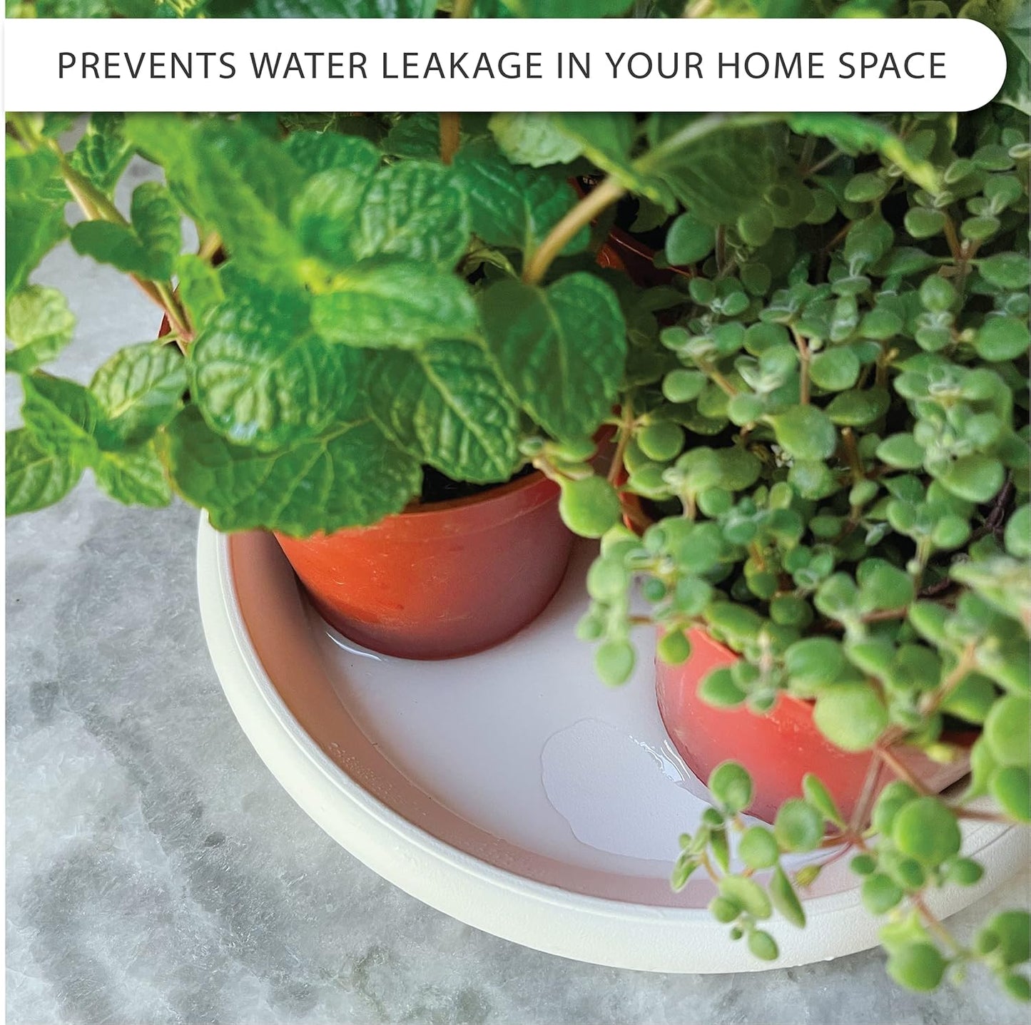 Plant Saucer 6 Pack Drip Trays Planter Pot Base Heavy Duty Plastic Drainage Tray for Indoor Houseplants Outdoor Garden 5 inch 8 inch 11 inch 3 Sizes 2 Each Round (White)