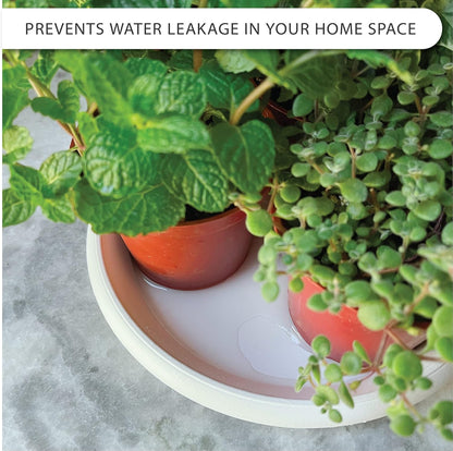 Plant Saucer 6 Pack Drip Trays Planter Pot Base Heavy Duty Plastic Drainage Tray for Indoor Houseplants Outdoor Garden 5 inch 8 inch 11 inch 3 Sizes 2 Each Round (White)