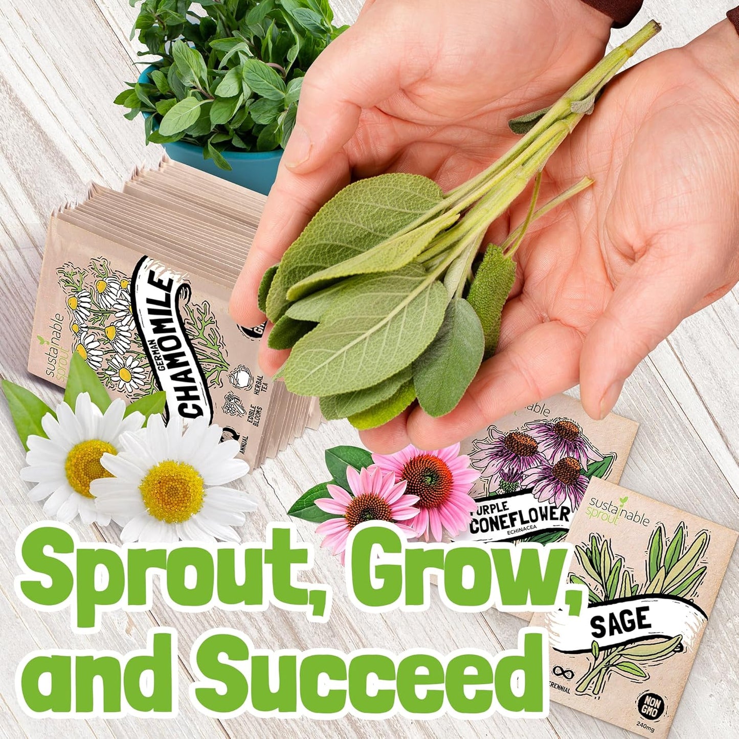 Sustainable Sprout Medicinal Tea Seeds, 8 Variety Pack Herbal Tea Heirloom Seeds, Catnip, Lavender, Peppermint, Lemon Balm, Bee Balm, Echinacea, Sage & Chamomile for Planting, Homesteading Essentials