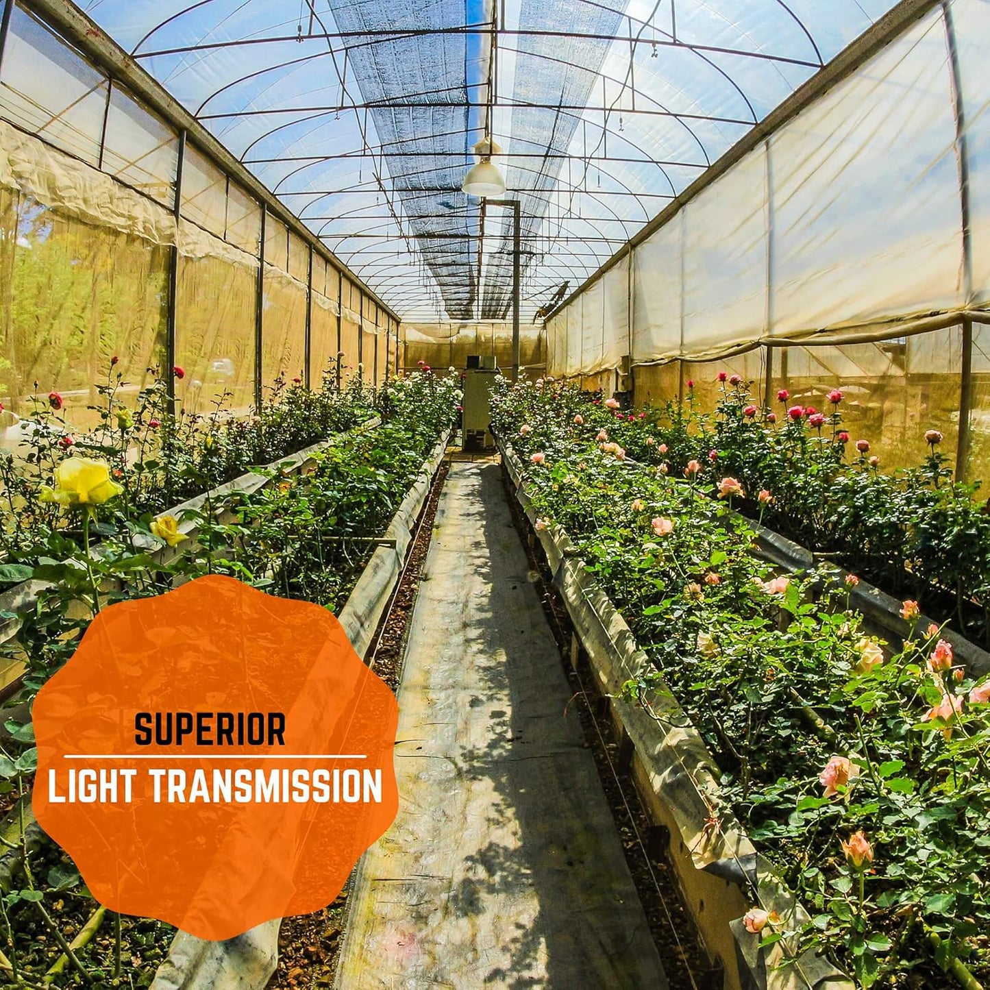 Farm Plastic Supply - Clear Greenhouse Plastic Sheeting - 6 mil - (25' x 75') - 4 Year UV Resistant Polyethylene Greenhouse Film, Hoop House Green House Cover for Gardening, Farming, Agriculture