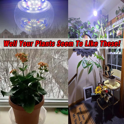 Grow Light Bulbs Full Spectrum with Red Blue 5000K E12 Candelabra Small Base 9W Sunlight Grow Bulb Replace 100W with Balanced Spectrum for Indoor Plants, Succulents, Flowers, Fruit, Mini Bonsai,1 Pack
