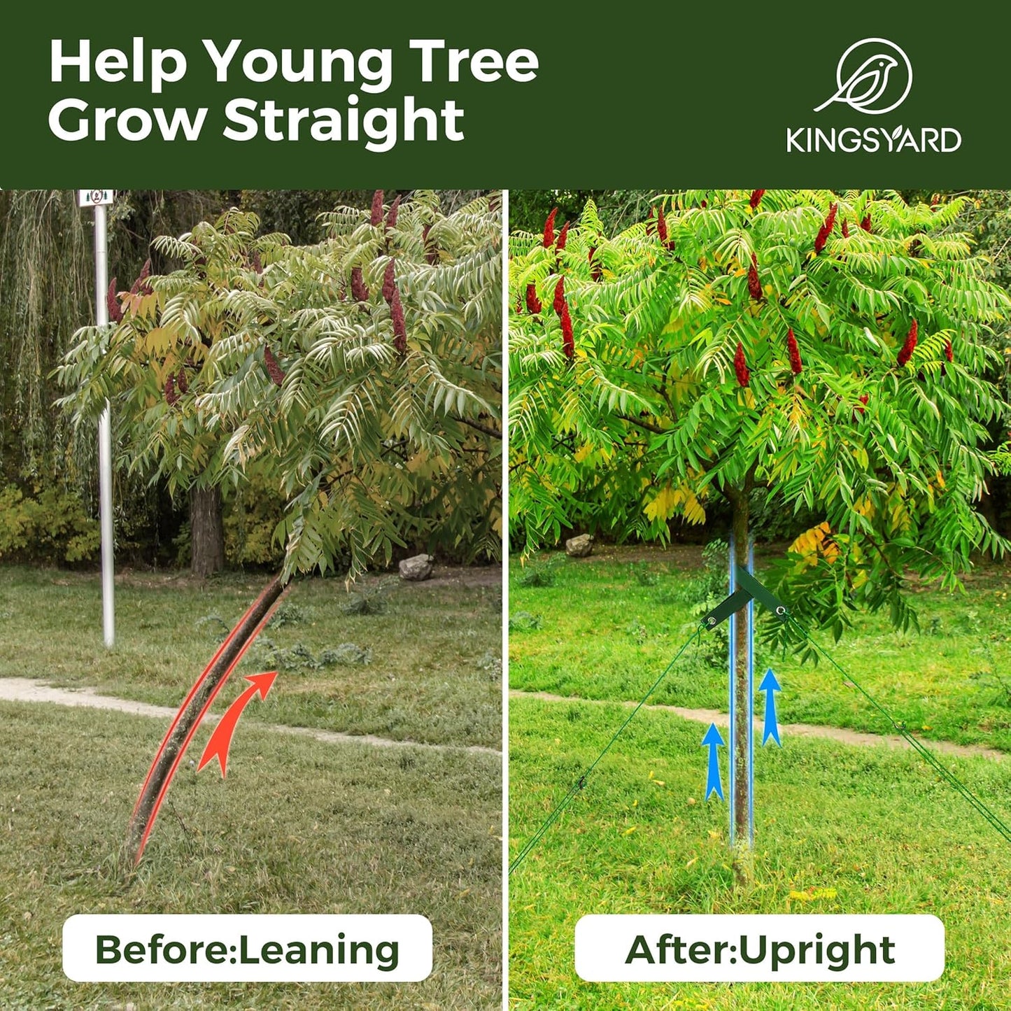 Kingsyard Heavy Duty Tree Stake Kit, 6 Pcs 12 Inch Steel Tree Stakes and Supports for Leaning Young Trees Straightening Kit Against Bad Weather, with 6Pcs Straps & 6Pcs 13ft Anchor Ropes