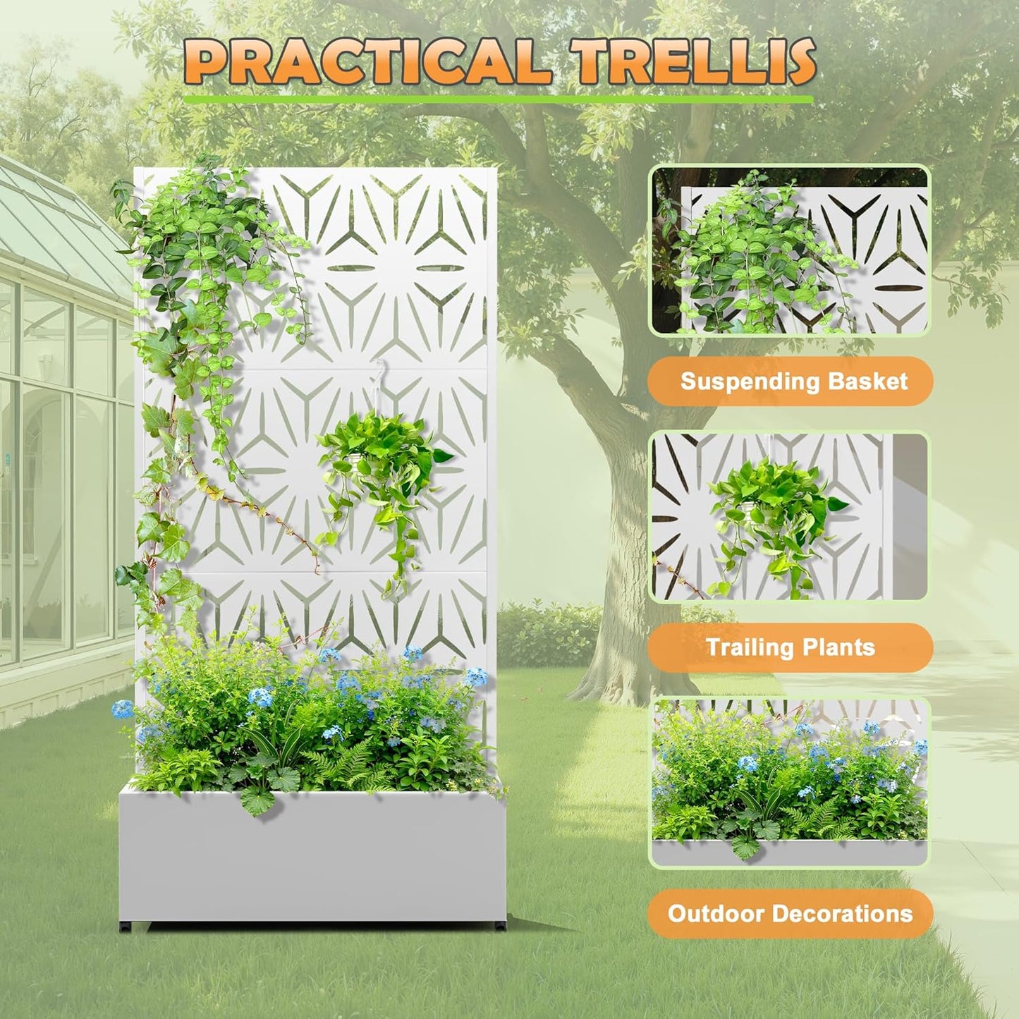 Metal Raised Garden Bed with Trellis, 2-in-1 Planter Box & Privacy Screen for Climbing Plants, Outdoor Standing Flower Bed with Drainage Holes, 35.4" L x 15.7" W x 70.1" H, White-Star