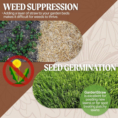 HealthiStraw GardenStraw, 3 cu ft (20 lbs) – All-Natural Mulch for Gardens, Vegetables Lawn Seeding – Water-Conserving Wheat Straw – Sustainably Sourced, Thoroughly Cleaned