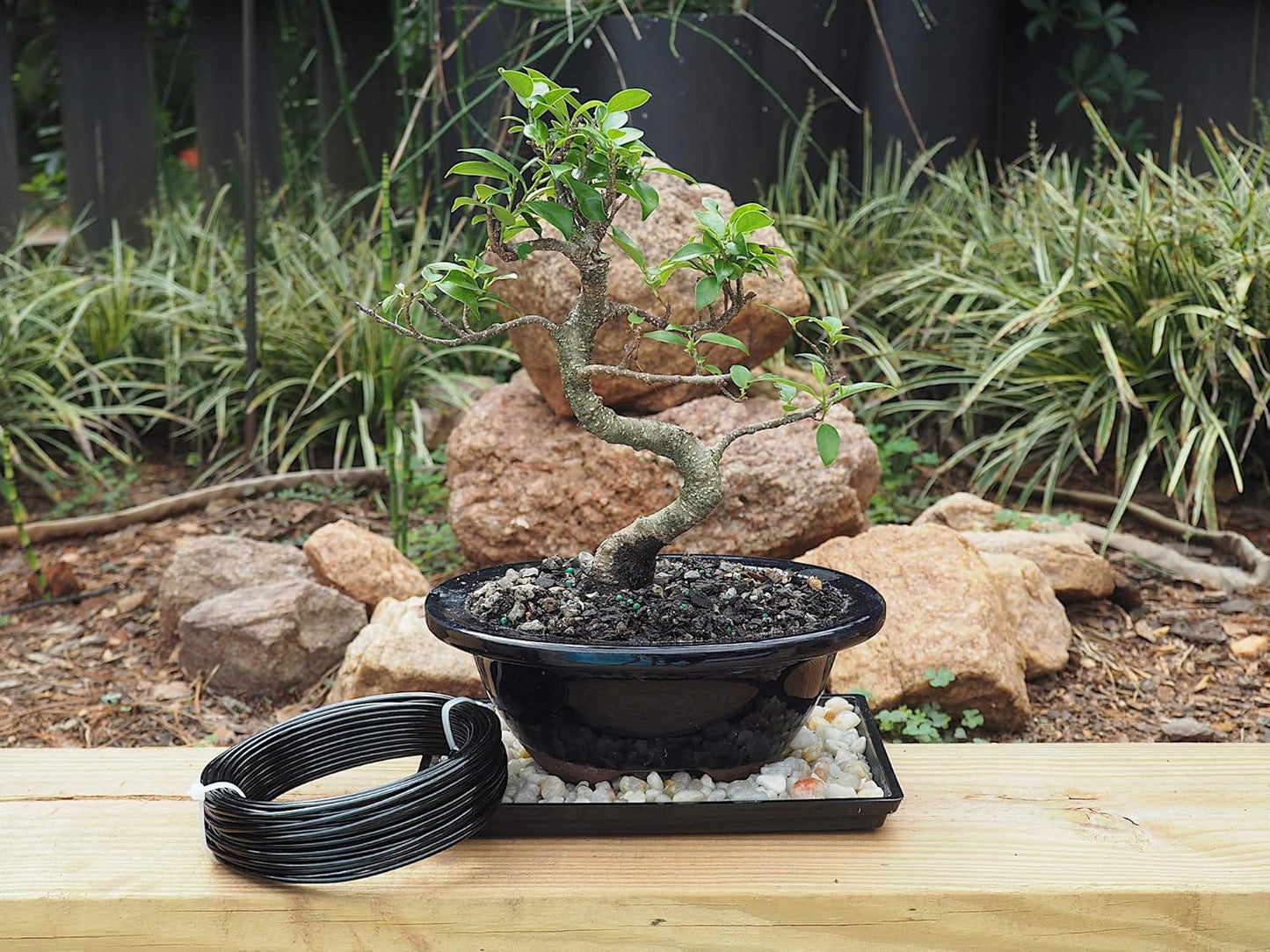 Anodized Aluminum 2.5mm Bonsai Training Wire 250g Large Roll (60 feet) - Choose Your Size and Color (2.5mm, Black)