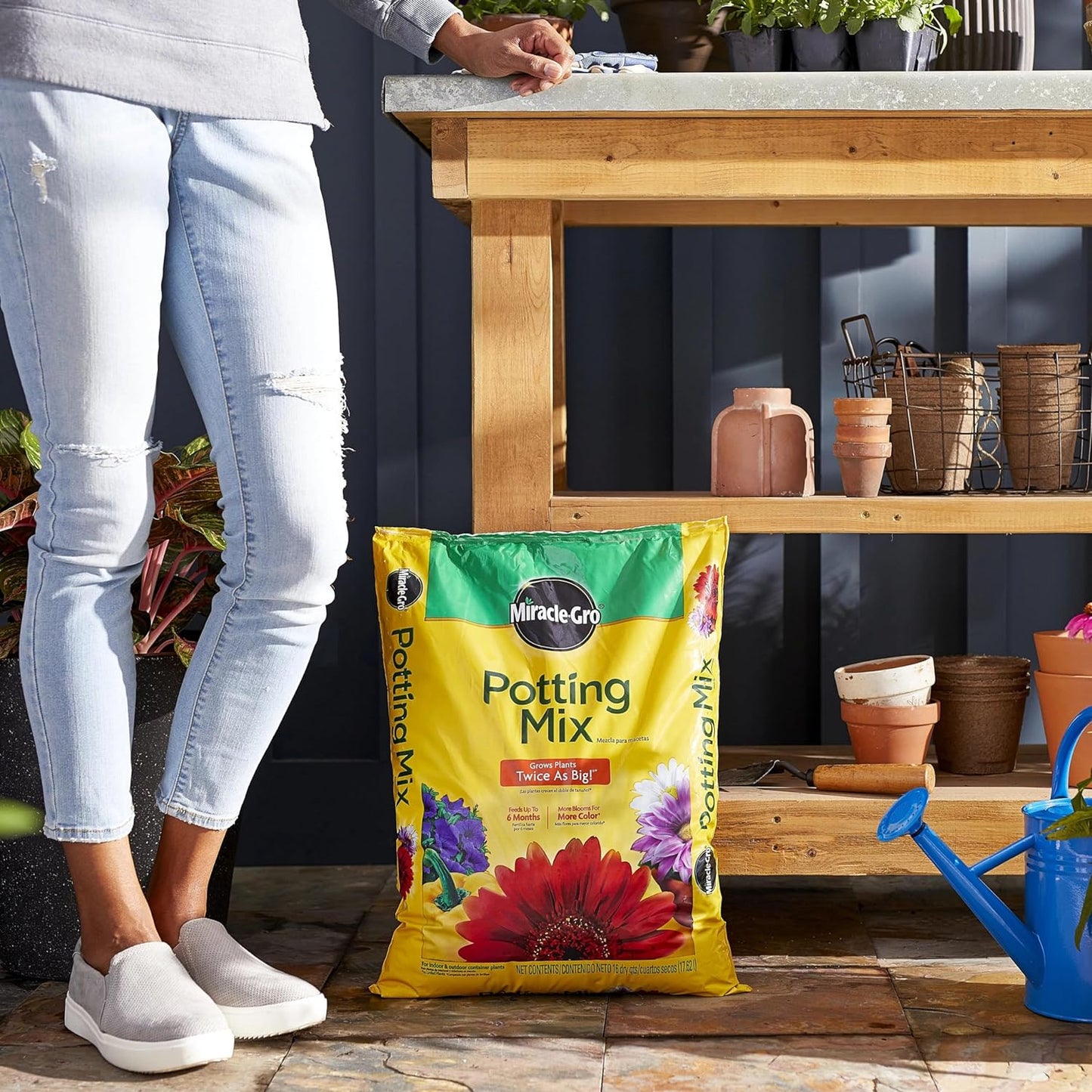 Miracle-Gro Potting Mix, For Container Plants, Flowers, Vegetables, Annuals, Perennials, Shrubs, Feeds for up to 6 Months, 16. qt., 2-Pack