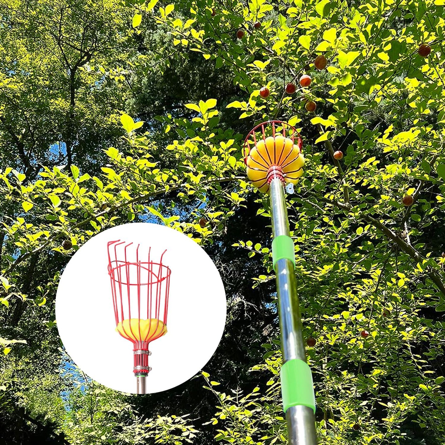 2 PCS Adjustable Fruit Picker Tool, 5.3 Feet Fruit Picker with Telescoping Basket & Pole, Ideal for Orange Picking, Cherry Picking & More