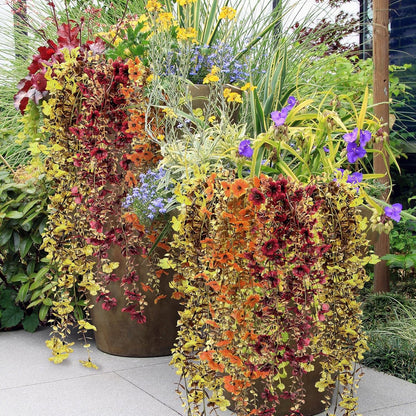 6 Pcs Artificial Fall Hanging Flowers Outdoor Silk Mum Plants Autumn Decor Faux Violet with Eucalyptus Realistic UV Resistant Trailing Vine Thanksgiving Porch Yard(Retro Color,Violet)
