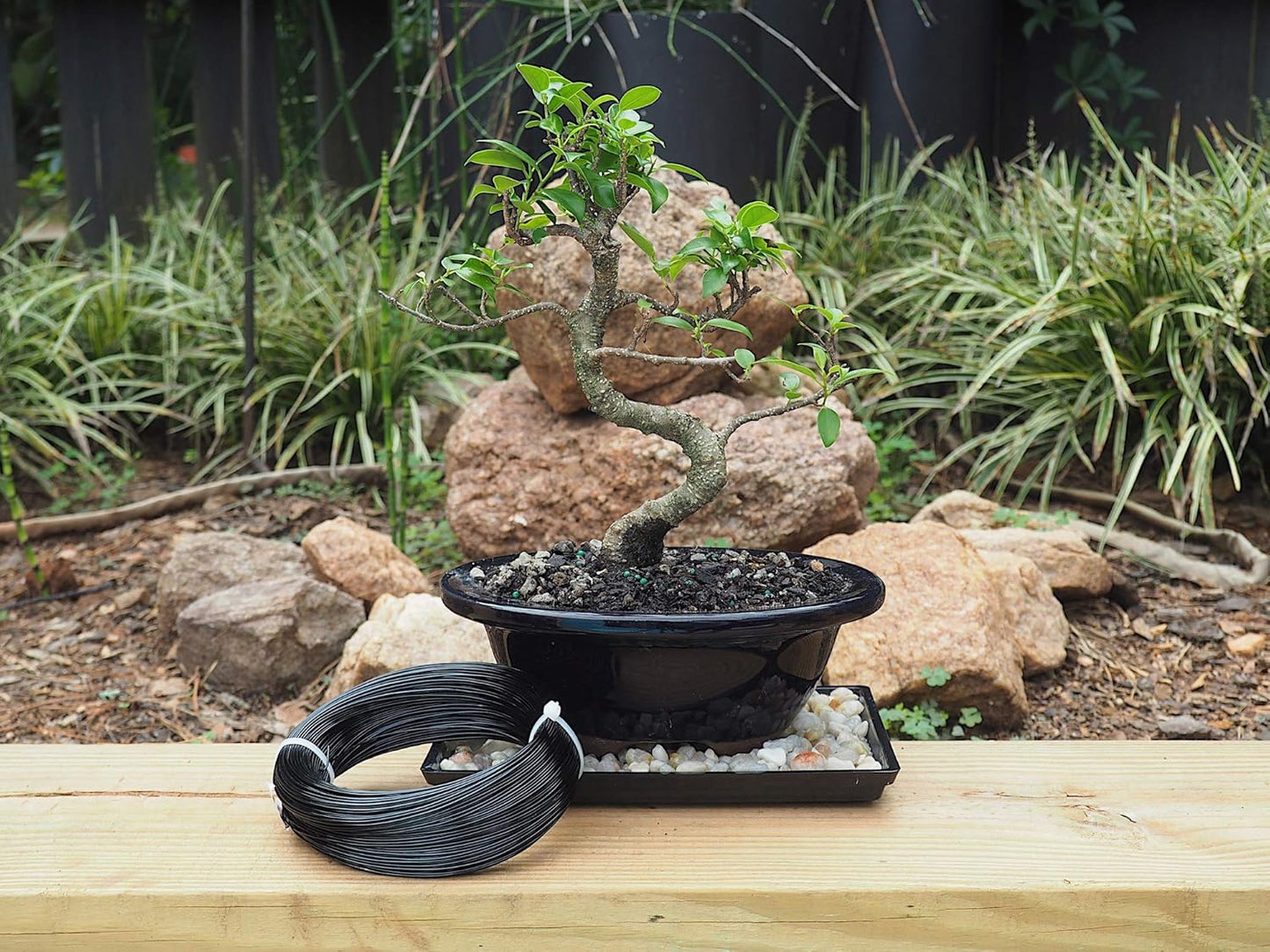 Anodized Aluminum 1.0mm Bonsai Training Wire 250g Large Roll (375 feet) - Choose Your Size and Color (1.0mm, Black)