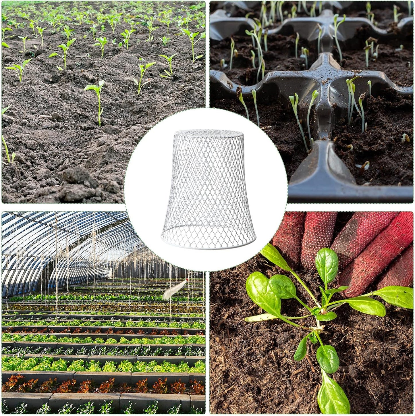 40 Pcs 9 inch Chicken Wire Plant Covers Bulk,Wire Garden Cloches Chicken Wire Cloche Plant Protector Metal Heavy Duty Garden Plant Cloche for Keeping Bunnies Chicken Squirrels Birds Other Out