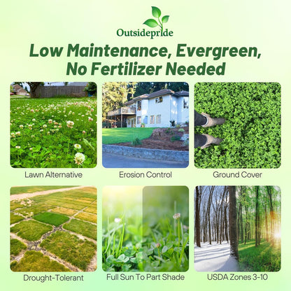 Outsidepride Perennial White Dutch Clover Seed - 1/4 lbs. Nitrocoated, Inoculated Clover Seeds for Lawn Alternative, Erosion Control, Food Plots, Ground Cover, & Pasture Mixtures in USDA Zones 3-10