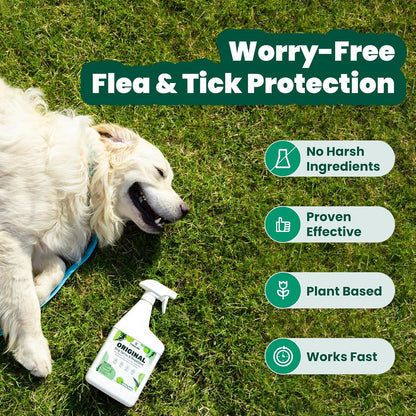 Cedarcide Original: Eco-Friendly Bug Spray - Repel & Kill Fleas, Ticks, Mosquitoes, Mites, Ants & Chiggers - for use on People, Pets & Home - Natural Cedar Oil - Pint