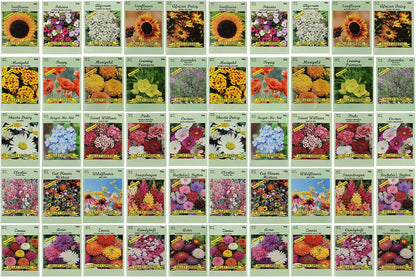 50 Slightly Assorted Flower Seeds! – Great for Bees, Birds, and Butterflies! – Includes 10+ Varieties of USA Grown & Non-GMO Seeds! – May Include Forget-Me-Nots, Marigolds, Wildflowers, and More