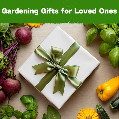 Lush&Dew Year-Round USDA Zone 9 Seed Bank, Gift for Mom Dad, 32 Varieties Non-GMO Heirloom Seeds of Vegetables Herbs, Gardening Gifts for Women Men, Survival Kit for Raised Garden Bed, Greenhouse