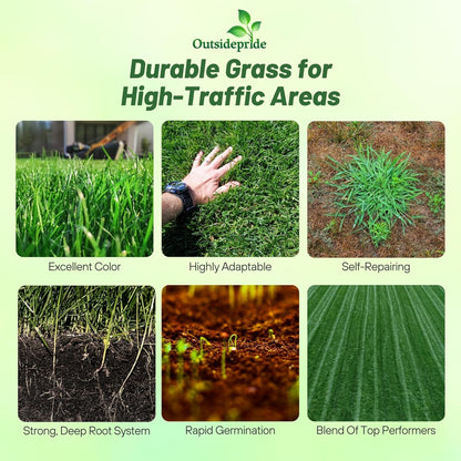 Outsidepride Combat Extreme Transition Zone Grass Seed Blend for Lawn 25 lbs - Fine, Medium Leaf Blades & Dense Turf for Sun, Shady & High Traffic Areas w/OptiGrowth Coating for Seed Enhancement