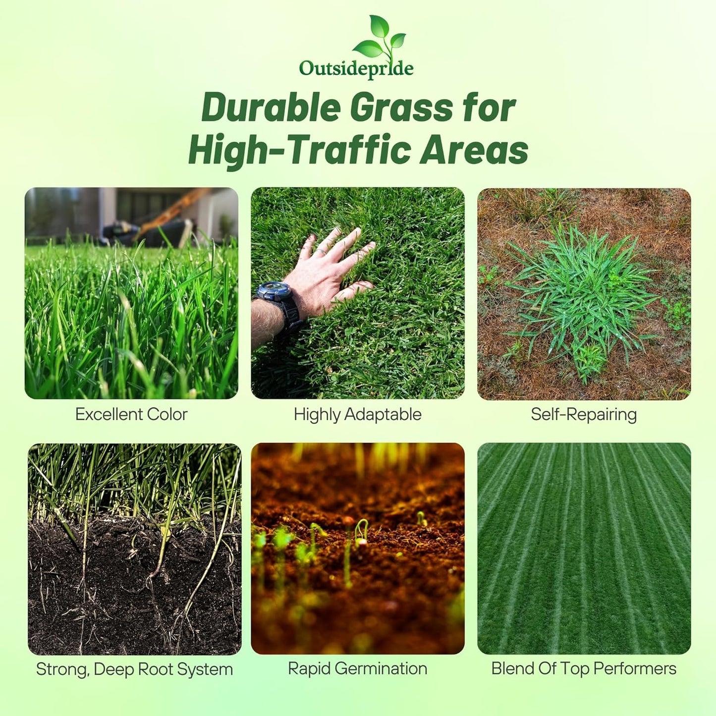 Outsidepride Combat Extreme Transition Zone Grass Seed Blend for Lawn 5 lbs - Fine, Medium Leaf Blades & Dense Turf for Sun, Shady & High Traffic Areas w/OptiGrowth Coating for Seed Enhancement