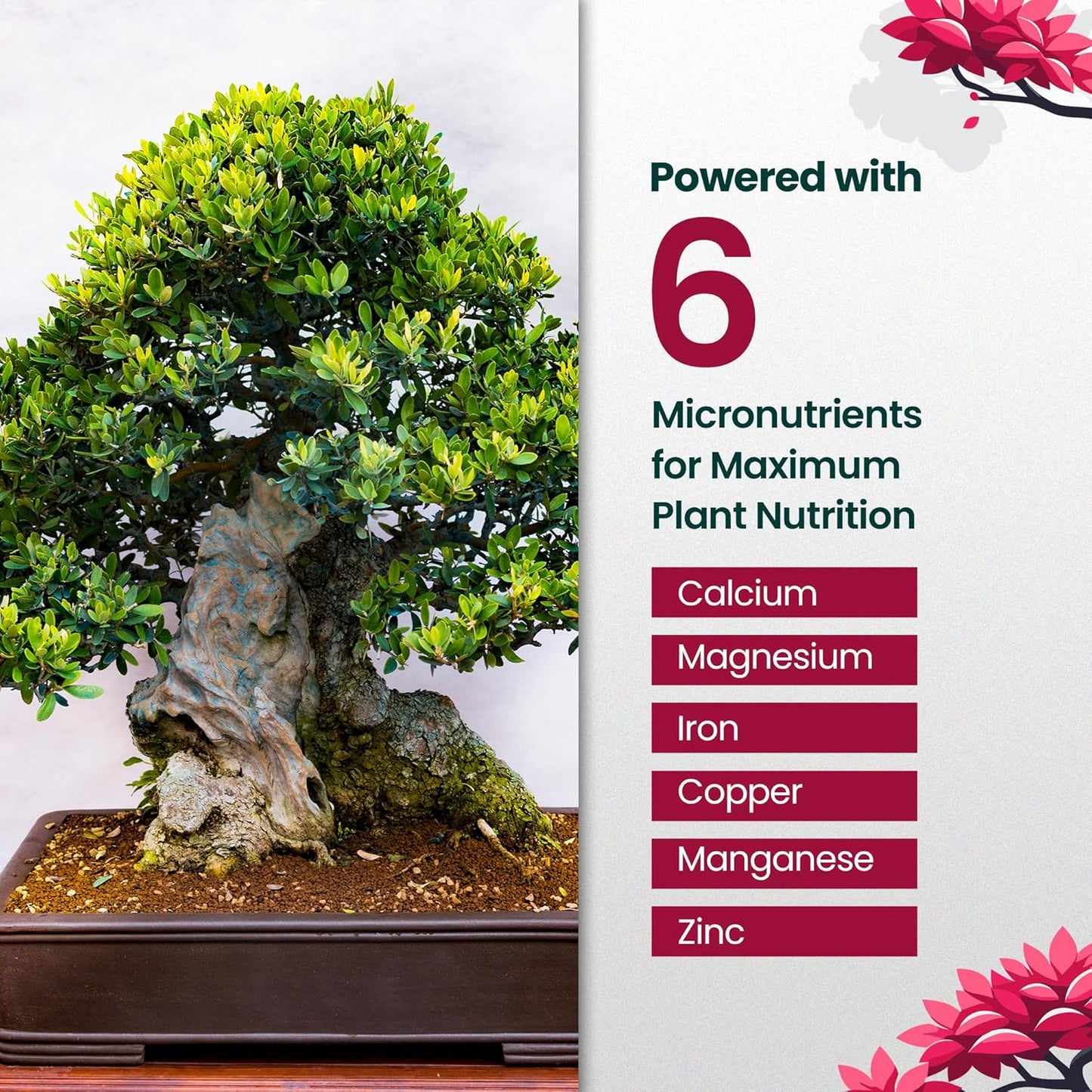 16oz Bonsai Tree Live Liquid Plant Food - Makes 32 Gallons of Bonsai Fertilizer Liquid, Premium Macronutrient Formula Enriched with Micronutrients for Healthy Roots, Branching & Foliage